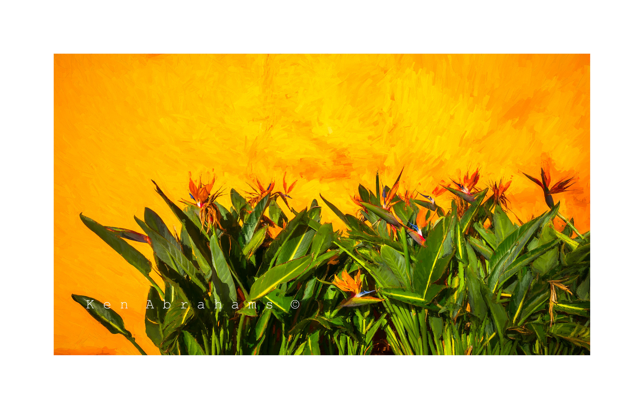 Leica SL (Typ 601) sample photo. Orange and green photography