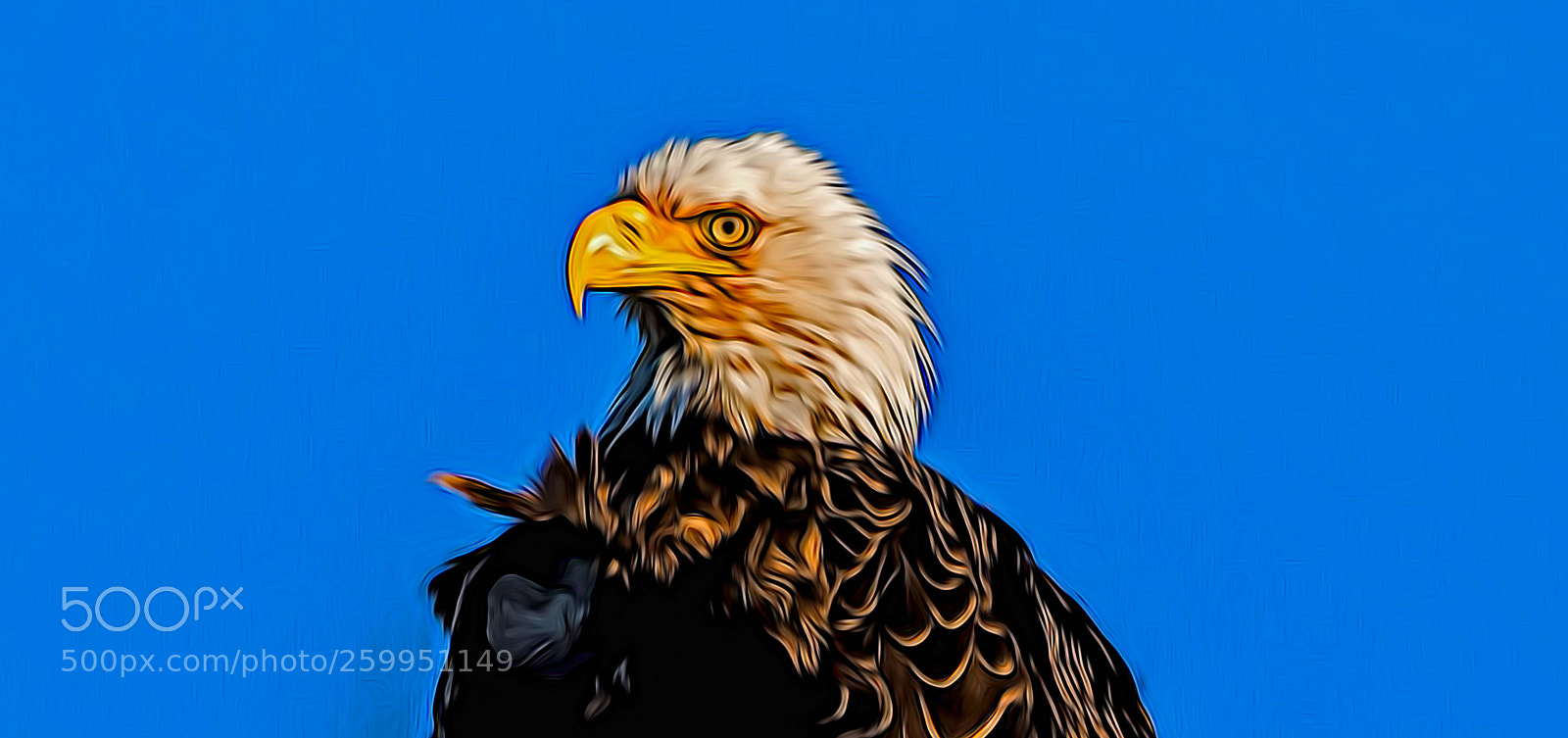 Nikon D7200 sample photo. Edited photography