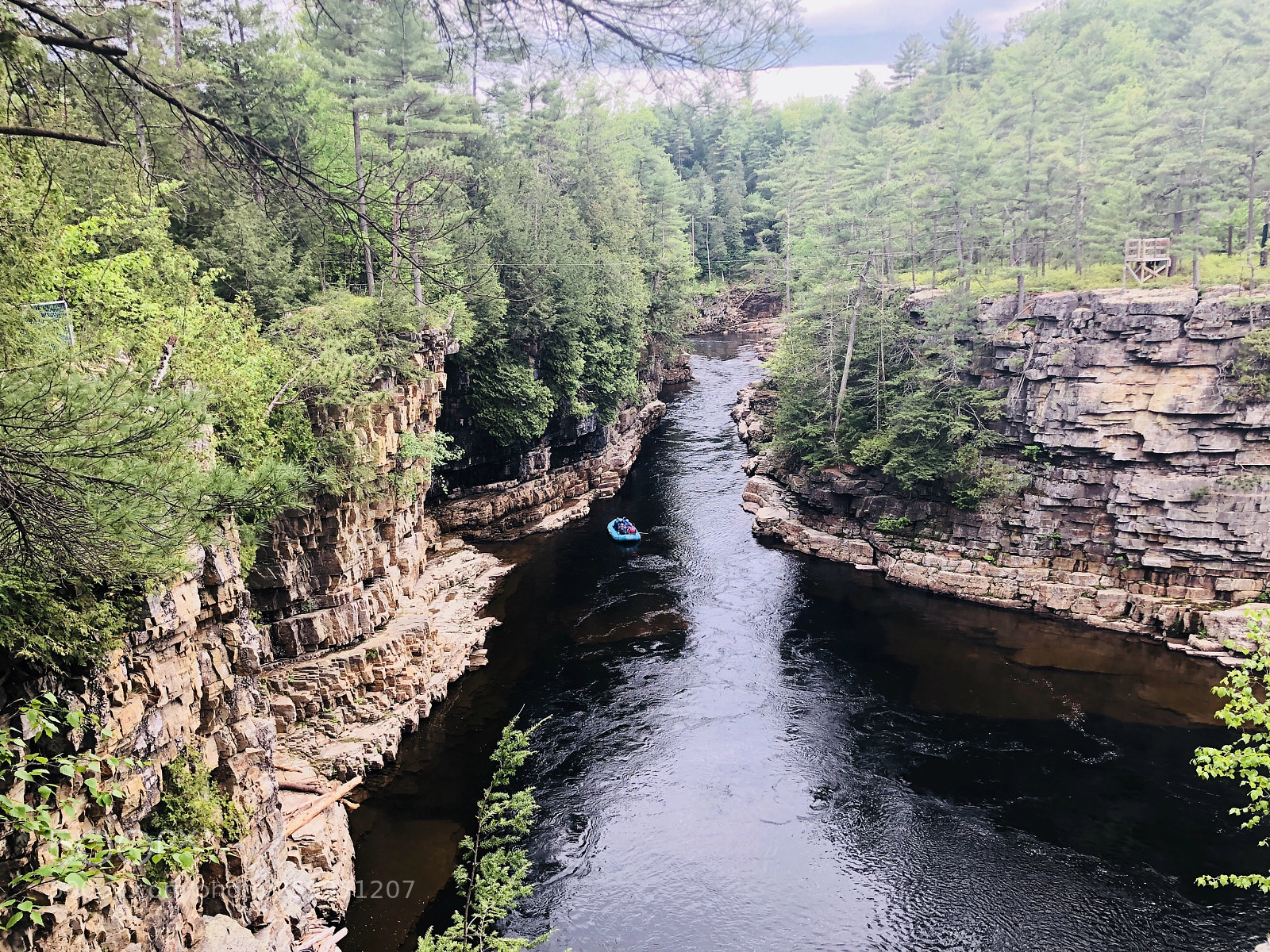 Apple iPhone X sample photo. Nature at its best! photography