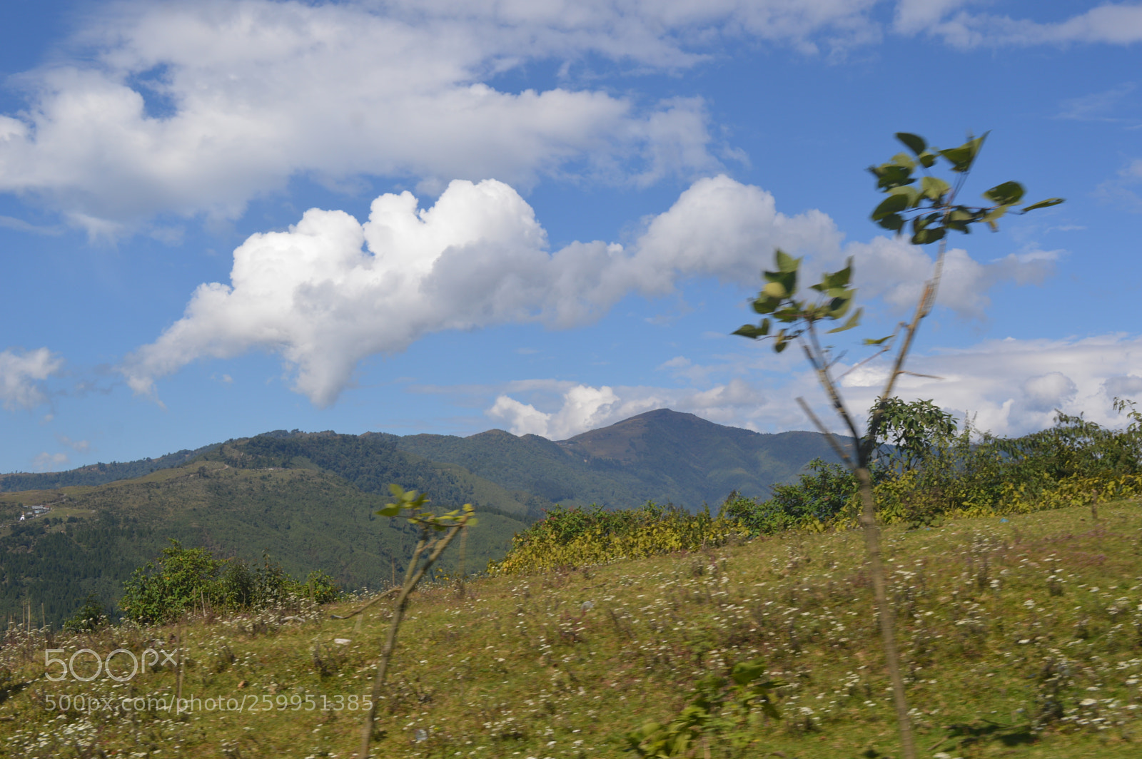Nikon D3200 sample photo. Picture photography