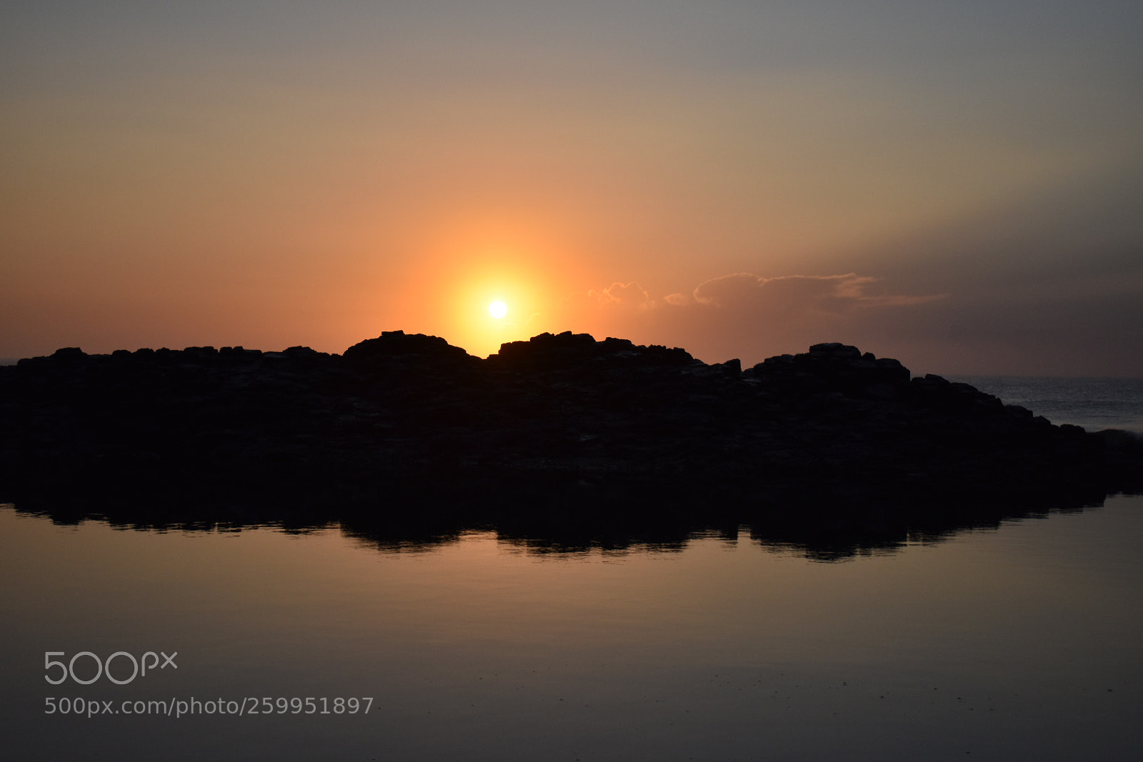 Nikon D3400 sample photo. Untitled photography