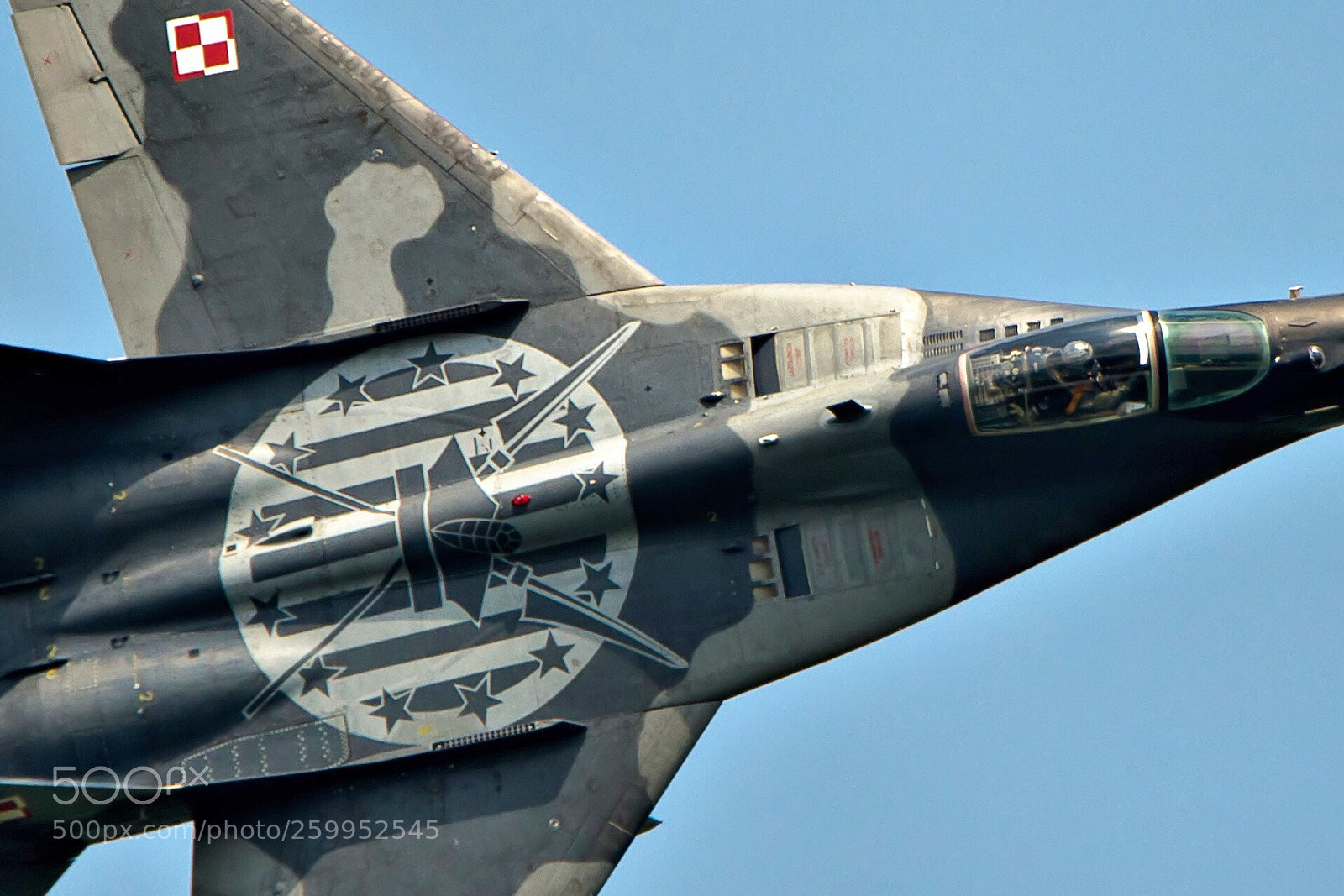 Nikon D7000 sample photo. Fighter photography
