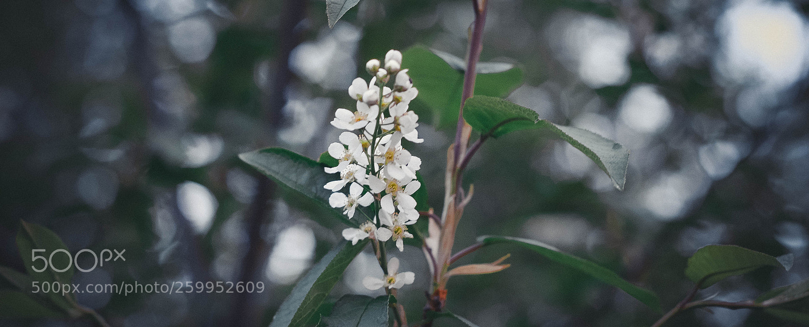 Nikon D7000 sample photo. Untitled photography