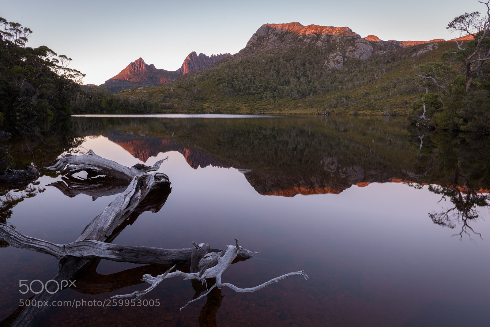 Nikon D810 sample photo. Lilla reflections photography