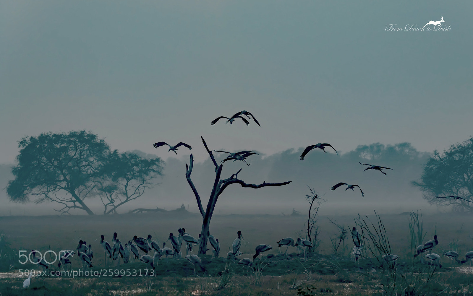 Nikon D750 sample photo. A paradise on earth photography