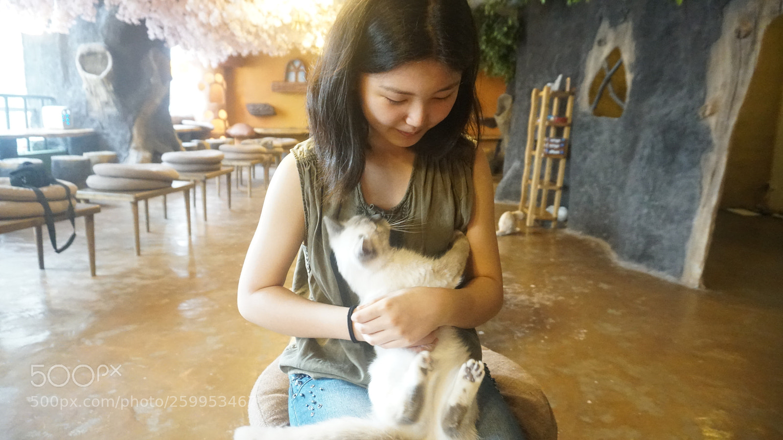 Sony a6300 sample photo. Cat cafe with harriet photography