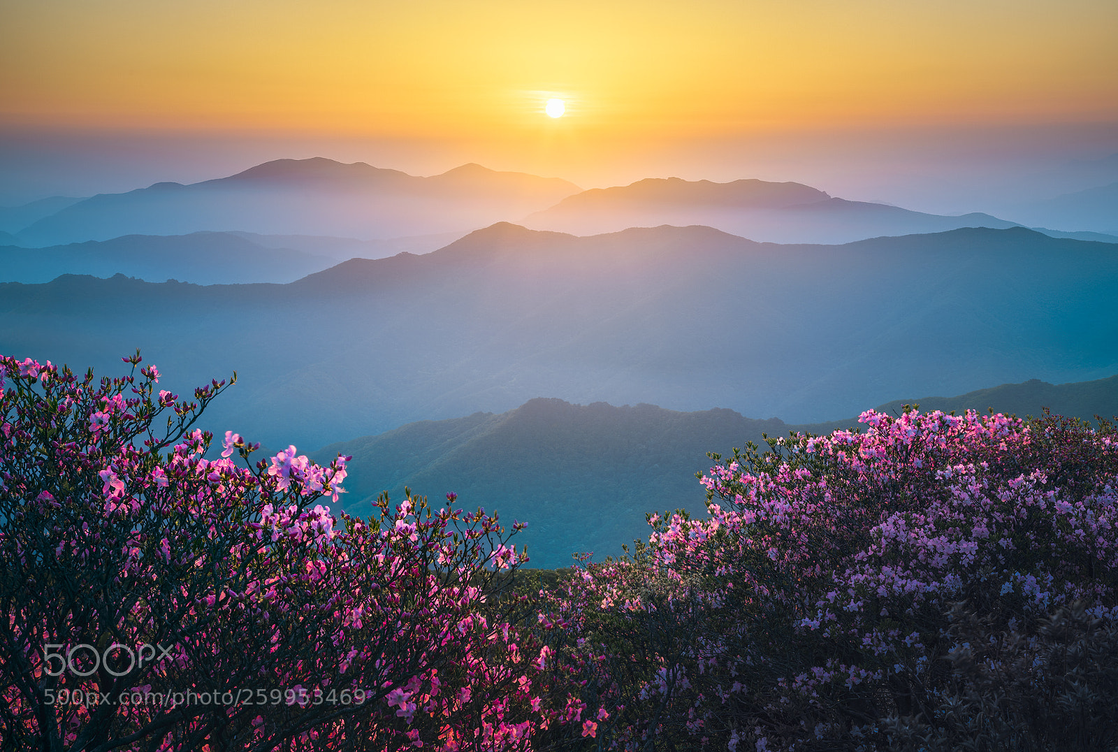 Canon EOS 5D Mark IV sample photo. Spring calm photography