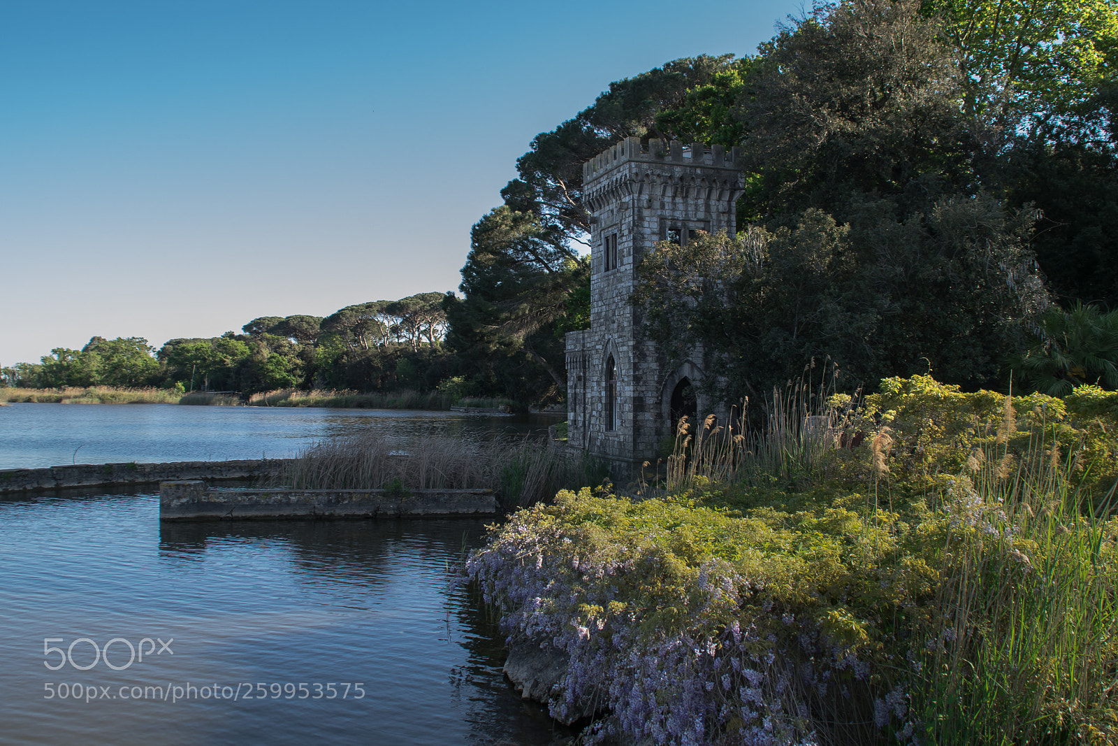 Nikon D5300 sample photo. Torre del lago view photography