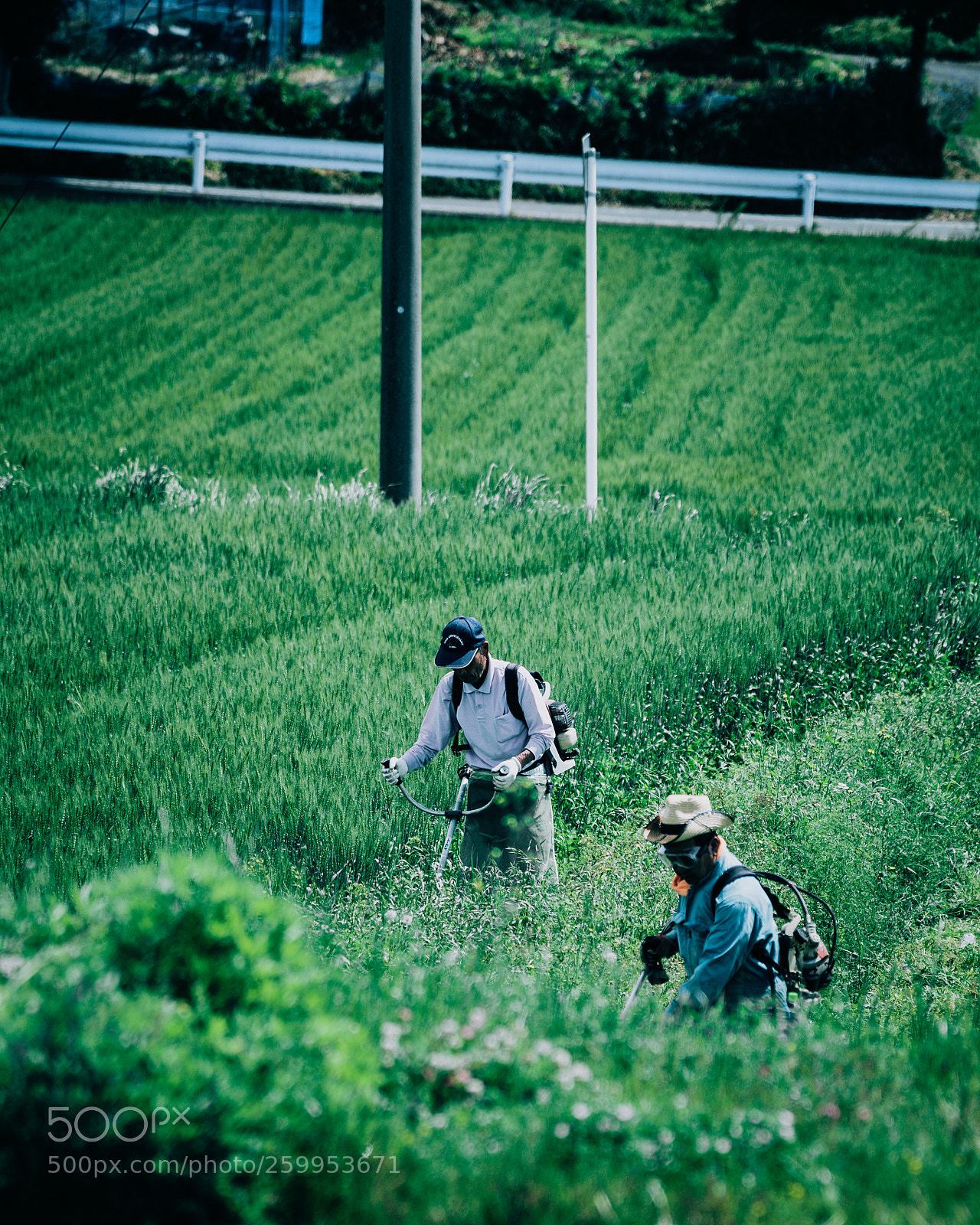Sony a7R III sample photo. Mowing photography
