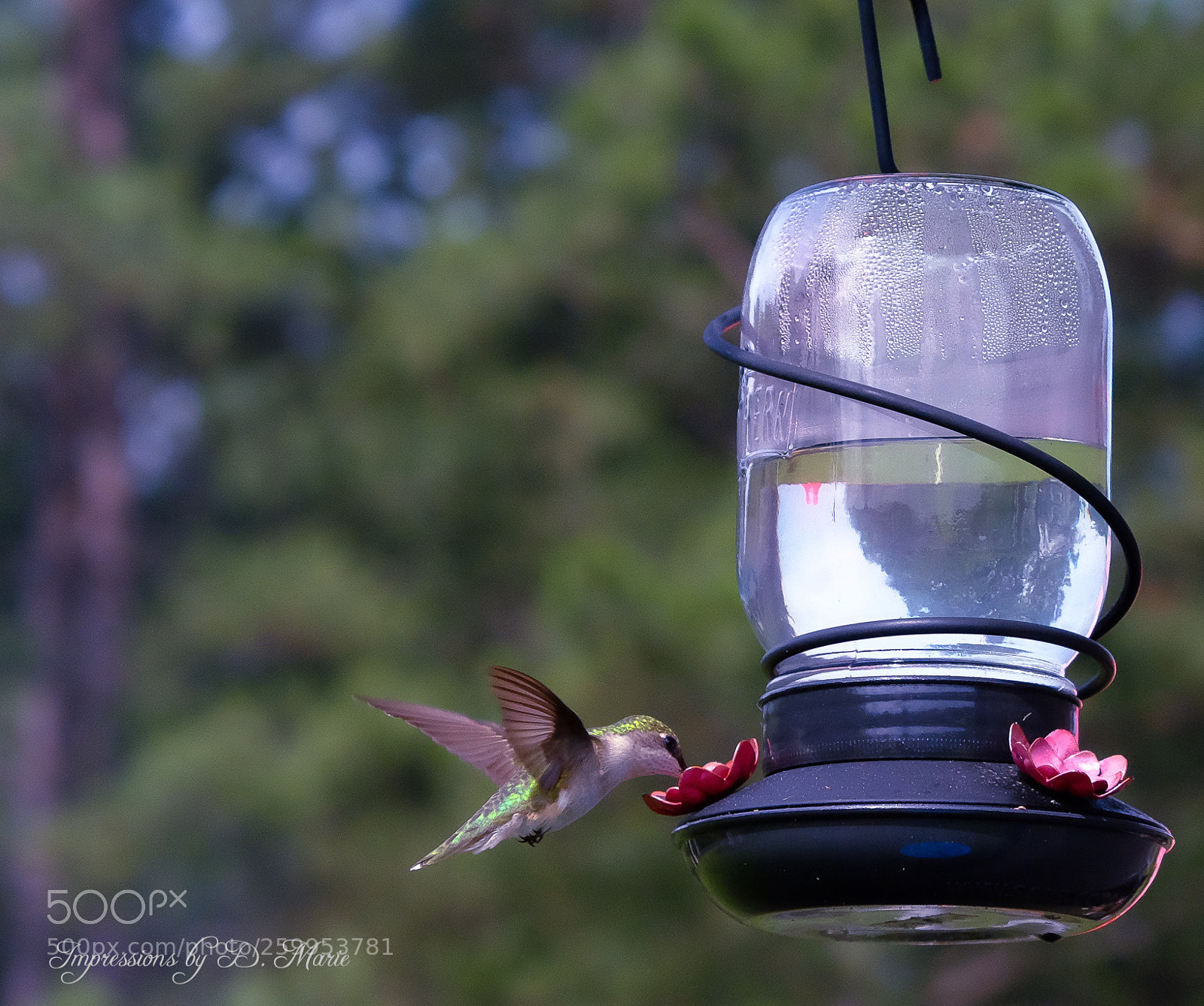 Fujifilm X-T10 sample photo. Swift lady photography