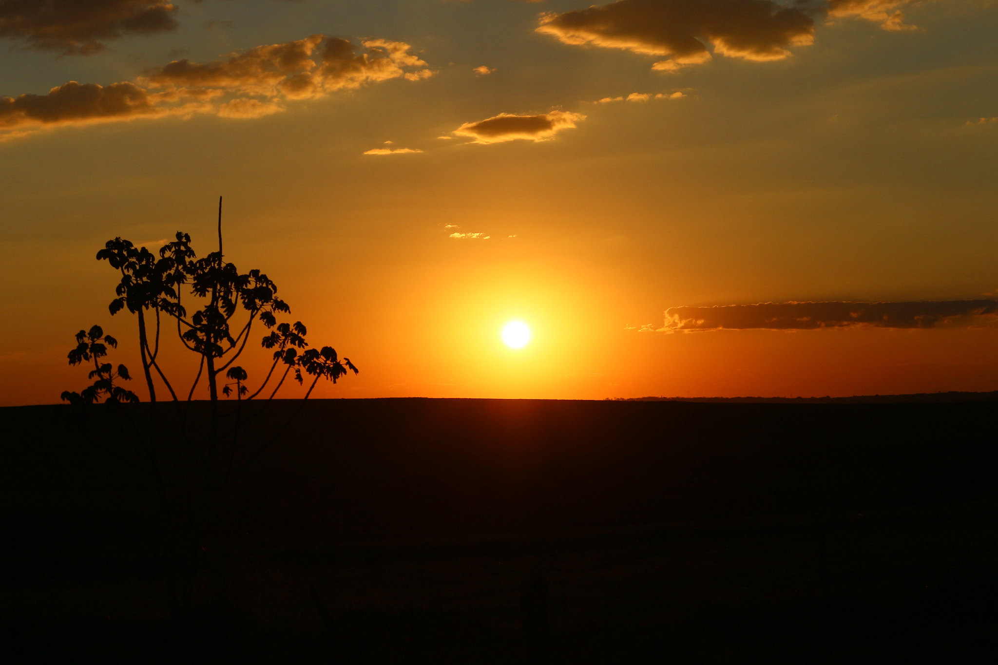 Canon EF-S 55-250mm F4-5.6 IS STM sample photo
