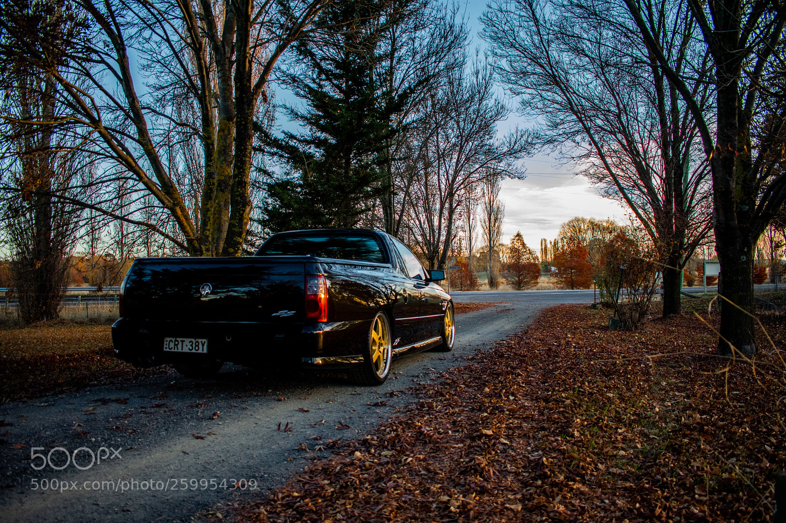 Nikon D3400 sample photo. Autumn photography