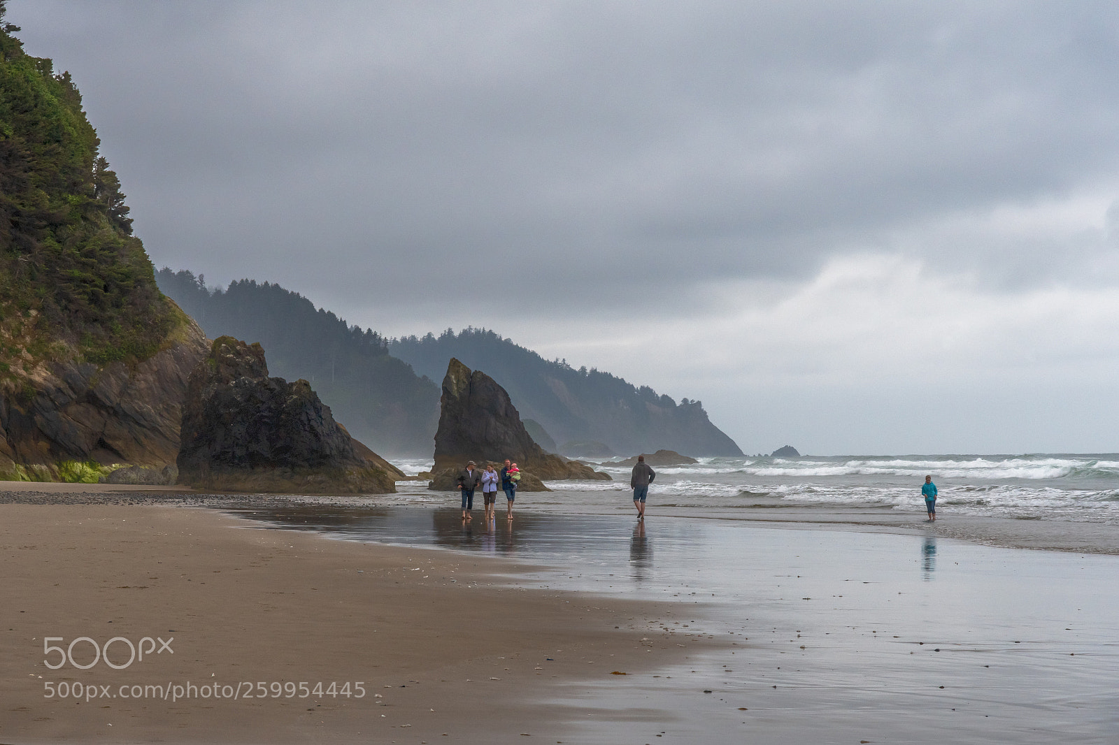 Nikon D500 sample photo. Oregon coast photography