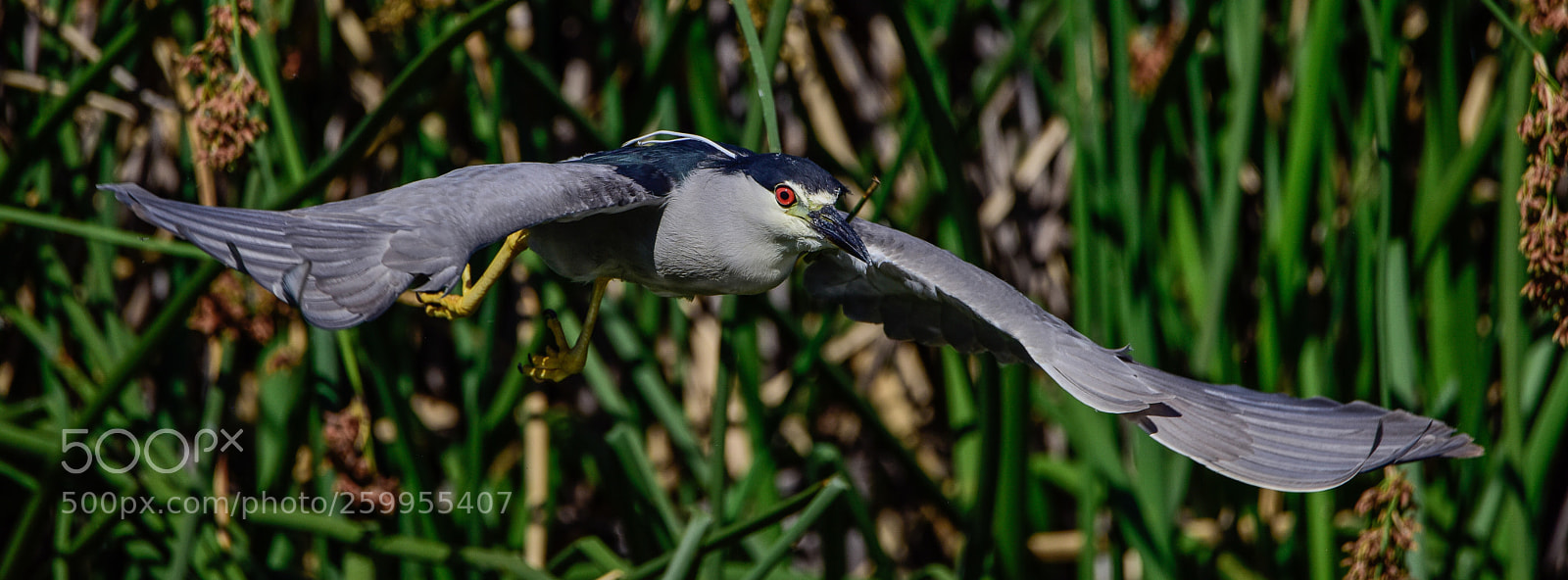 Nikon D810 sample photo. Untitled photography