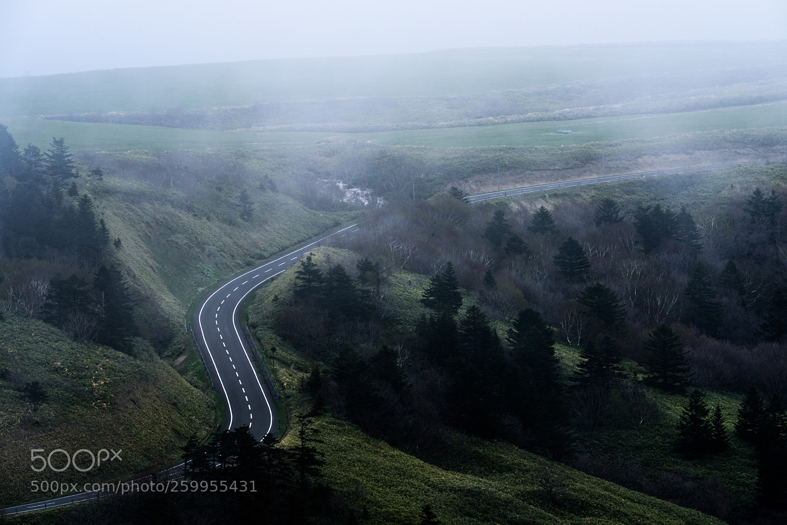 Nikon D810 sample photo. Winding road photography