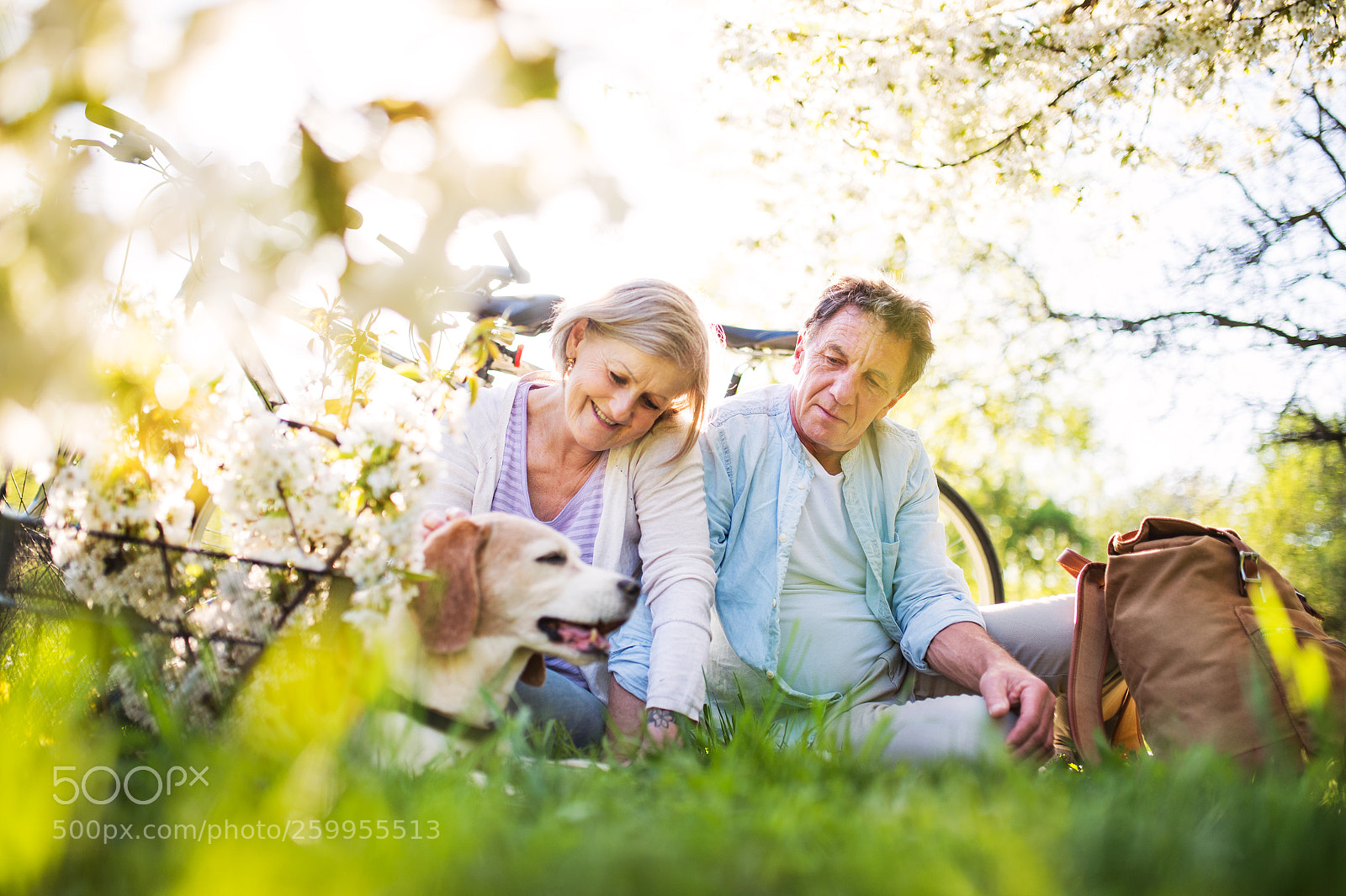 Nikon D4S sample photo. Beautiful senior couple with photography