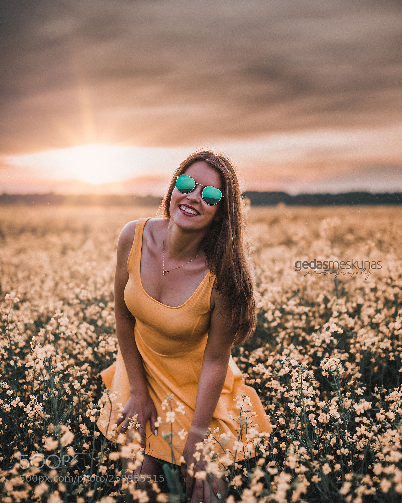 Nikon D750 sample photo. Golden fields photography