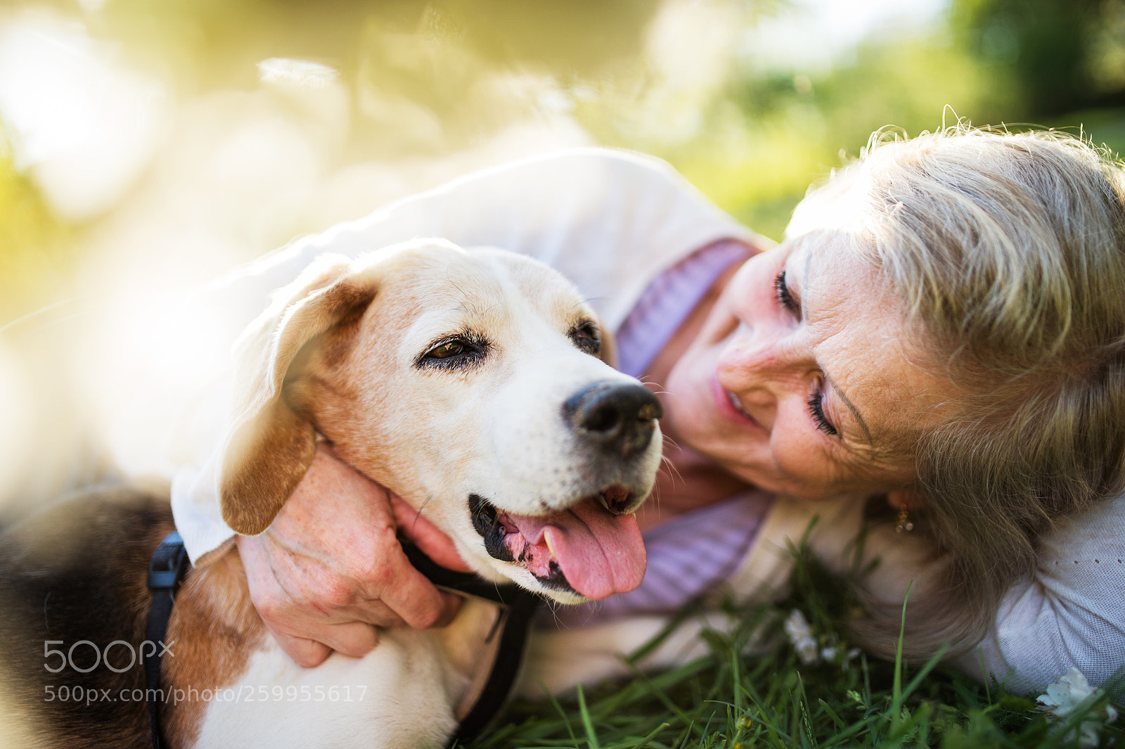 Nikon D4S sample photo. Senior woman with dog photography