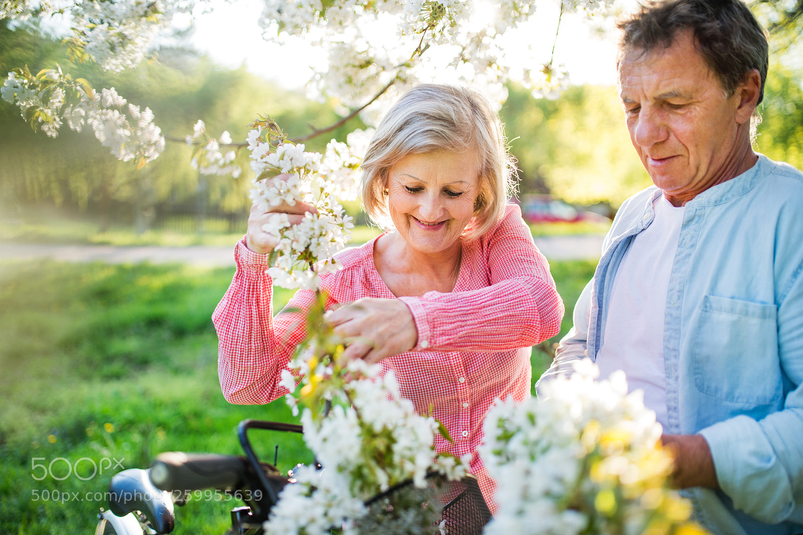 Nikon D4S sample photo. Beautiful senior couple with photography