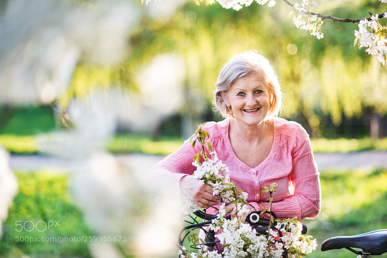 Nikon D4S sample photo. Beautiful senior woman with photography