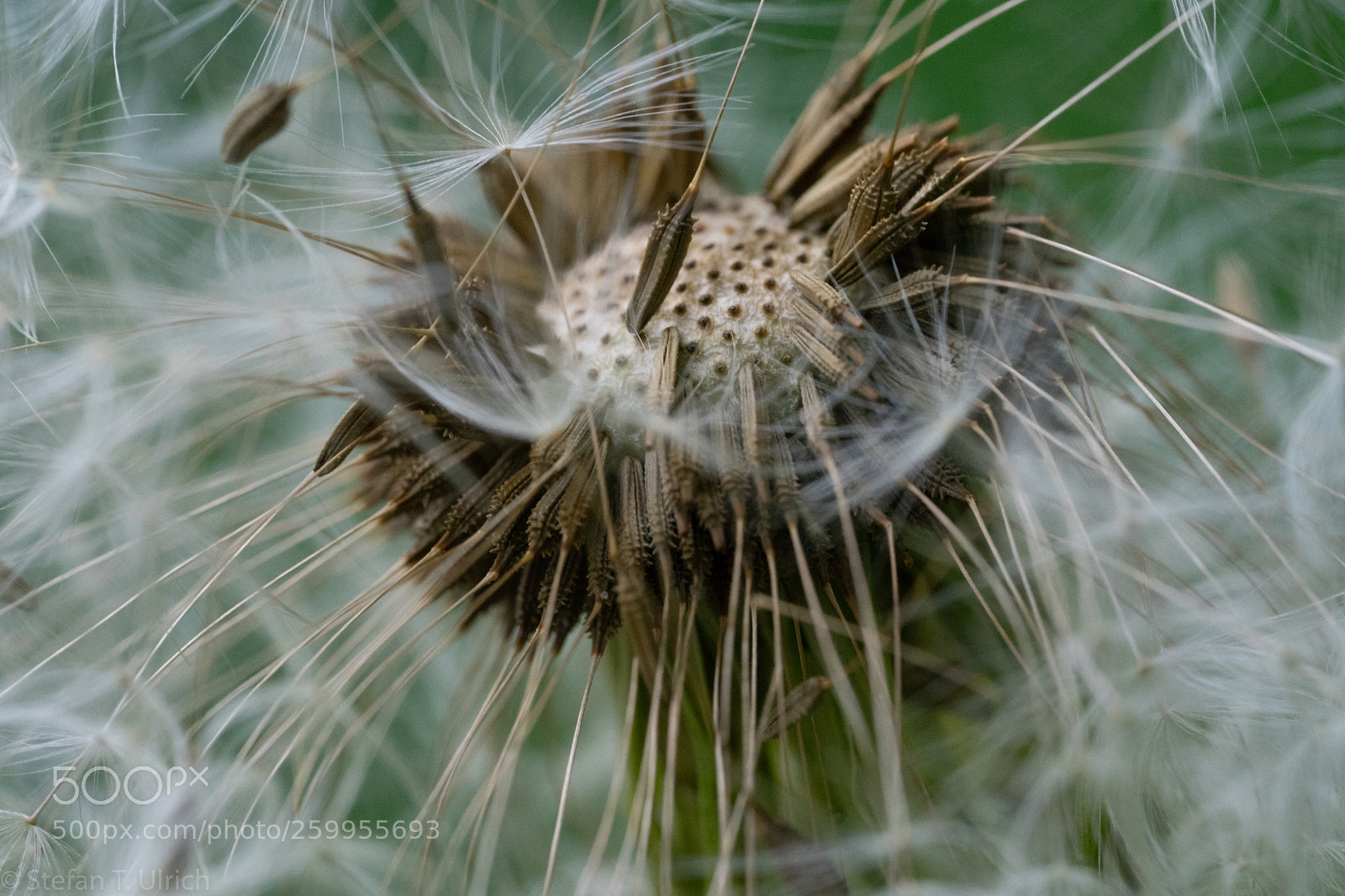 Sony a7 II sample photo. Uls photography