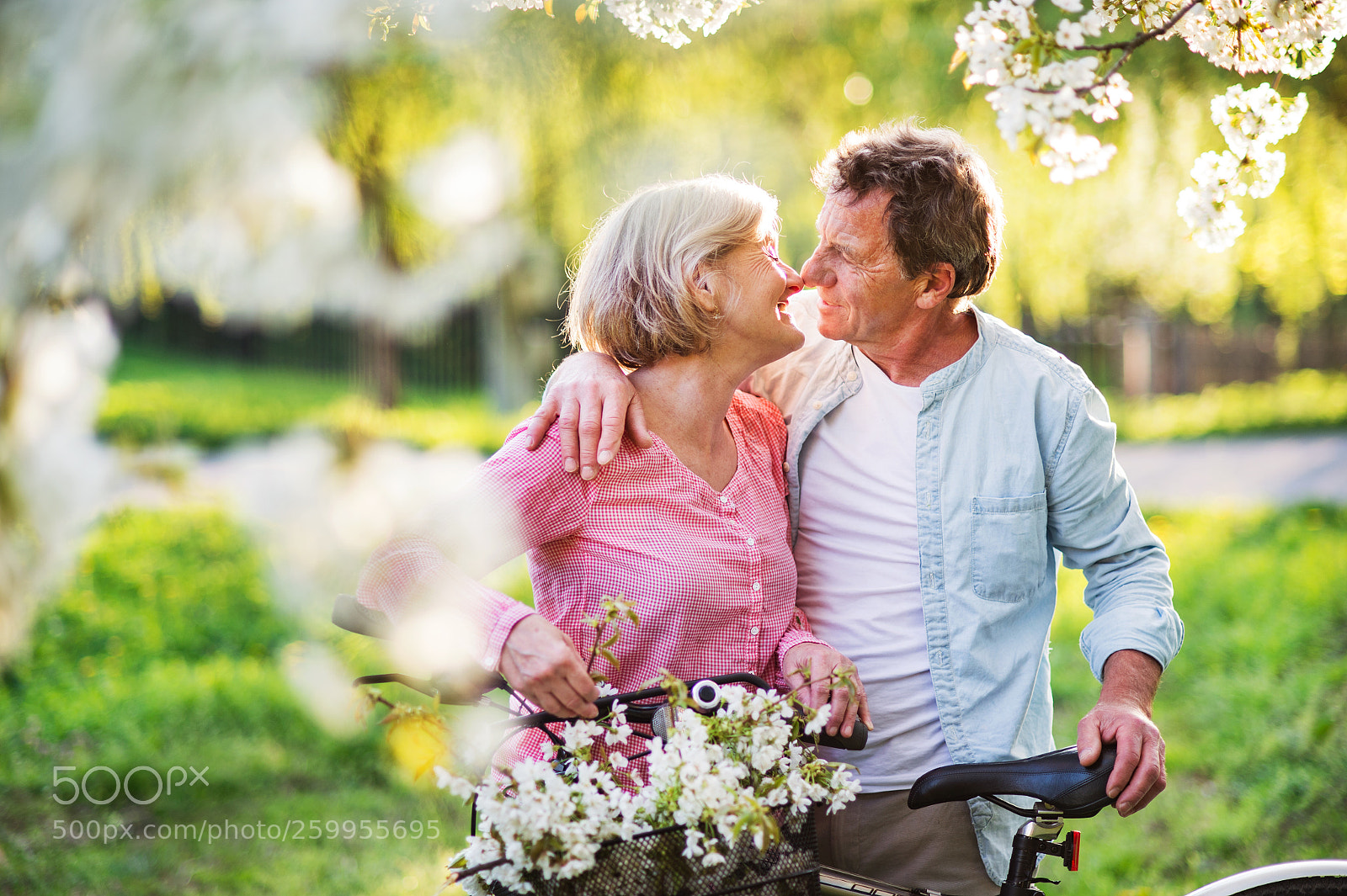 Nikon D4S sample photo. Beautiful senior couple with photography