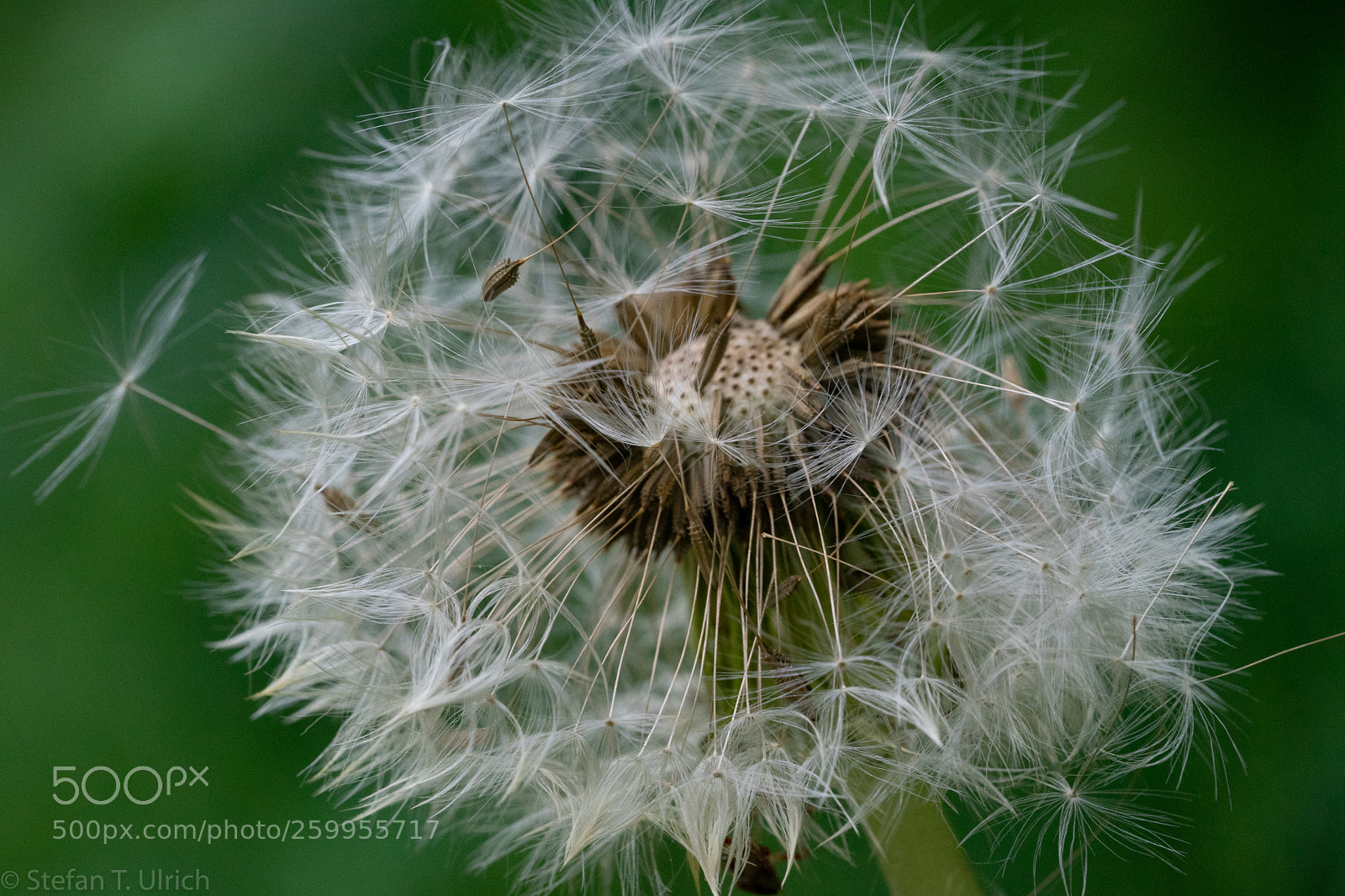 Sony a7 II sample photo. Uls photography