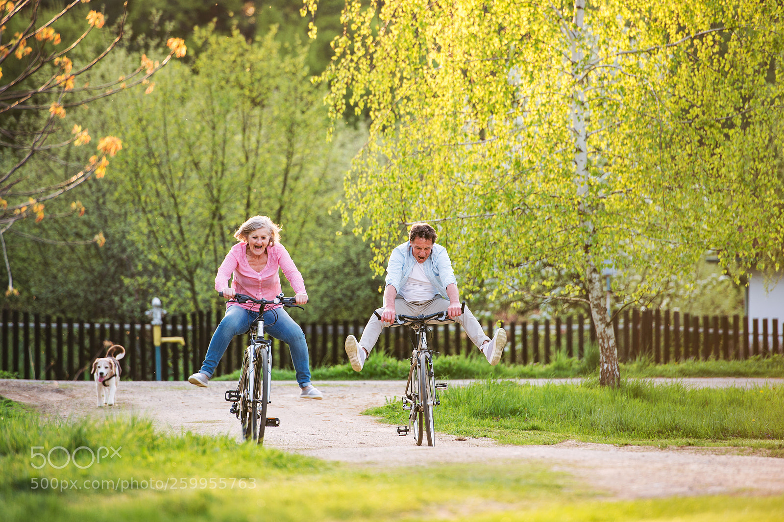 Nikon D4S sample photo. Beautiful senior couple with photography