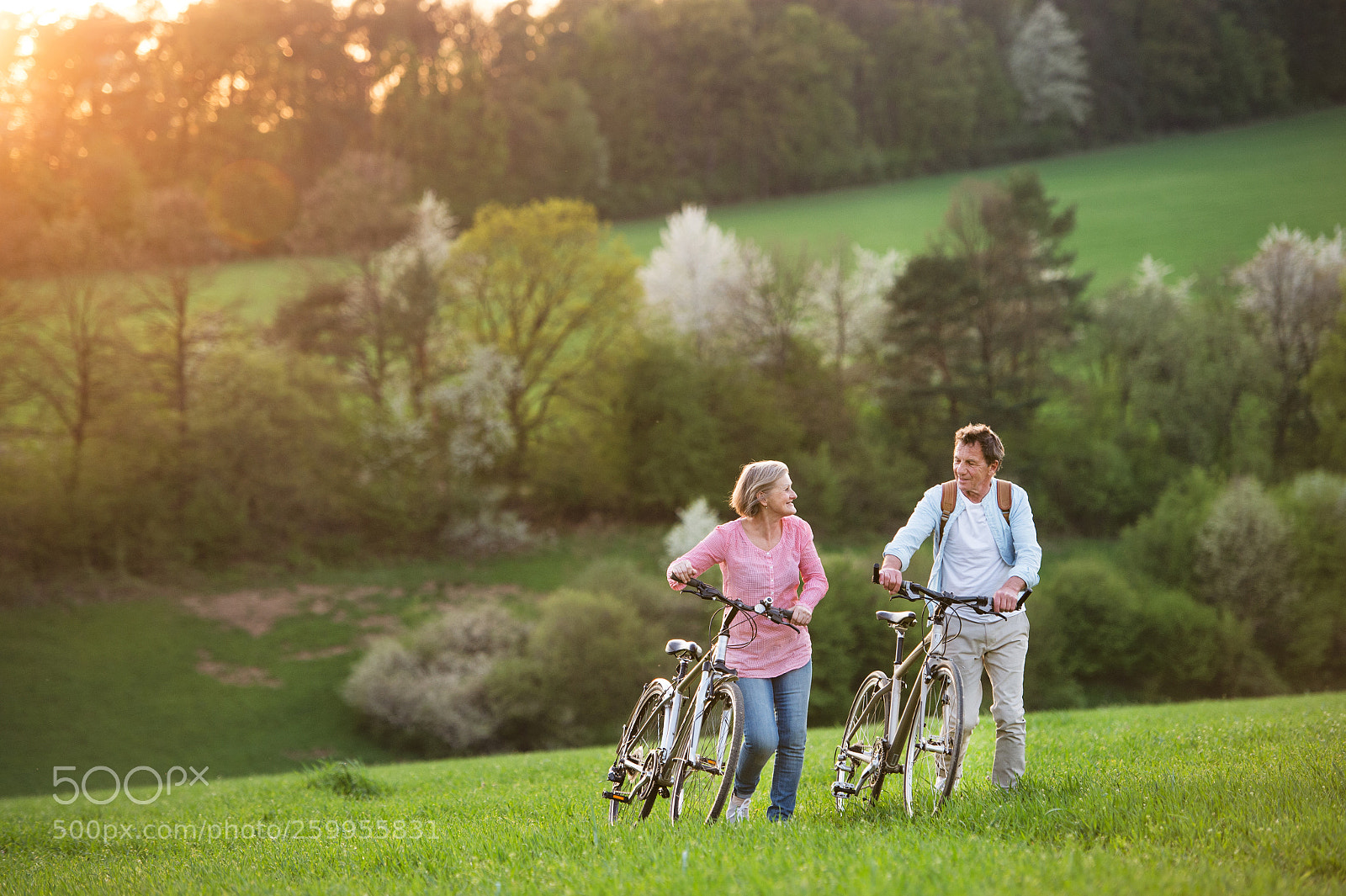 Nikon D4S sample photo. Beautiful senior couple with photography