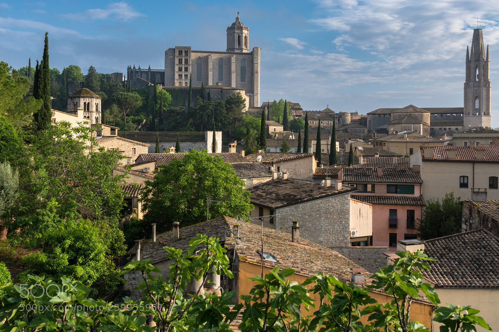 Nikon D7100 sample photo. The city's emblems the photography