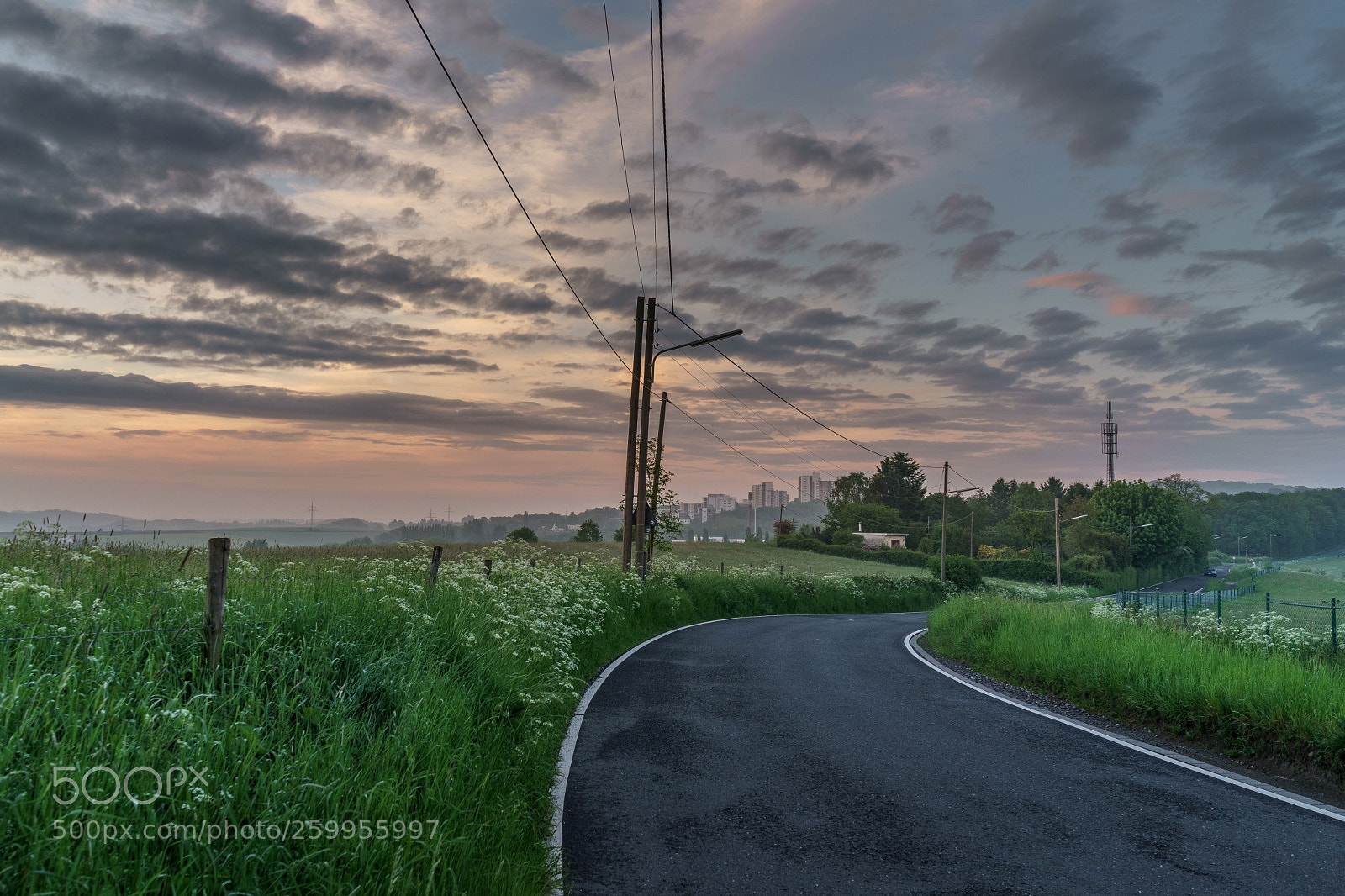 Sony a7 II sample photo. Frankholzhäuschen walk photography