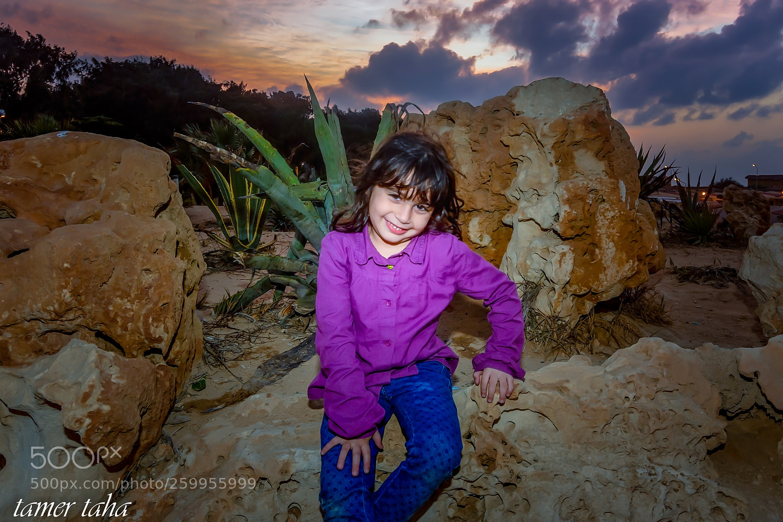 Nikon D7100 sample photo. Edit photography