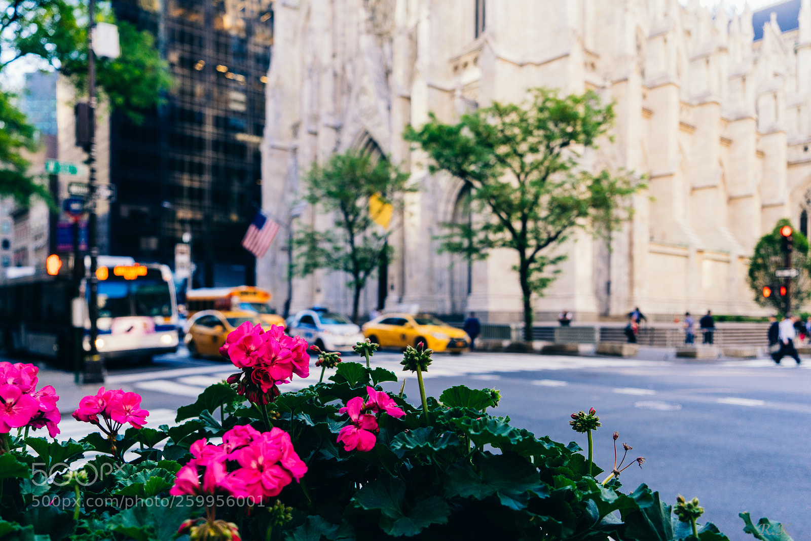 Sony a7R sample photo. What's your vision of photography