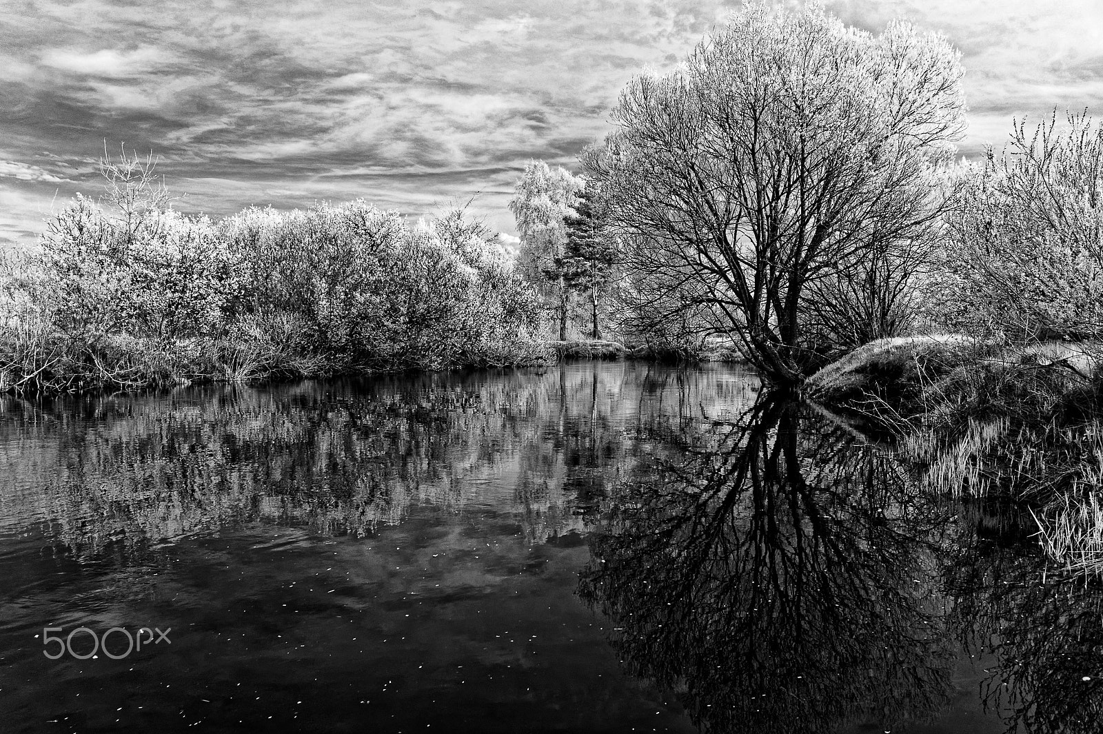 Sony Alpha NEX-3 sample photo. Infrared spring photography
