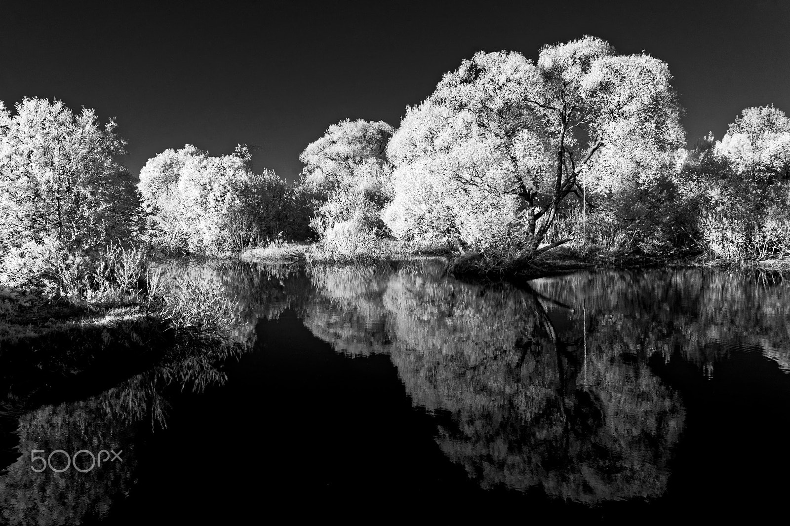 Sony Alpha NEX-3 sample photo. Infrared spring photography