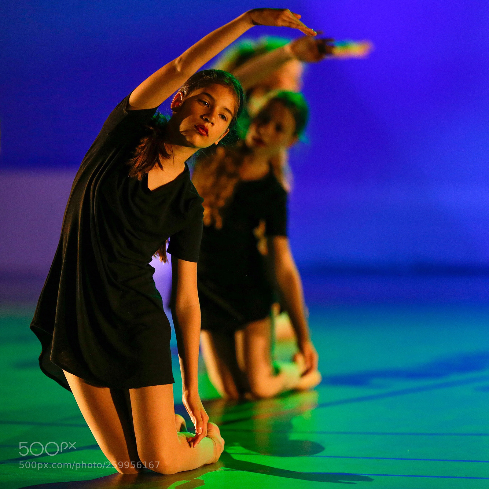 Canon EOS-1D X sample photo. Untitled photography