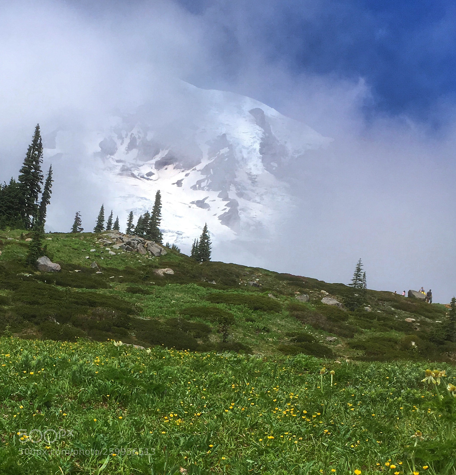 Apple iPhone SE sample photo. Rainier mountain photography