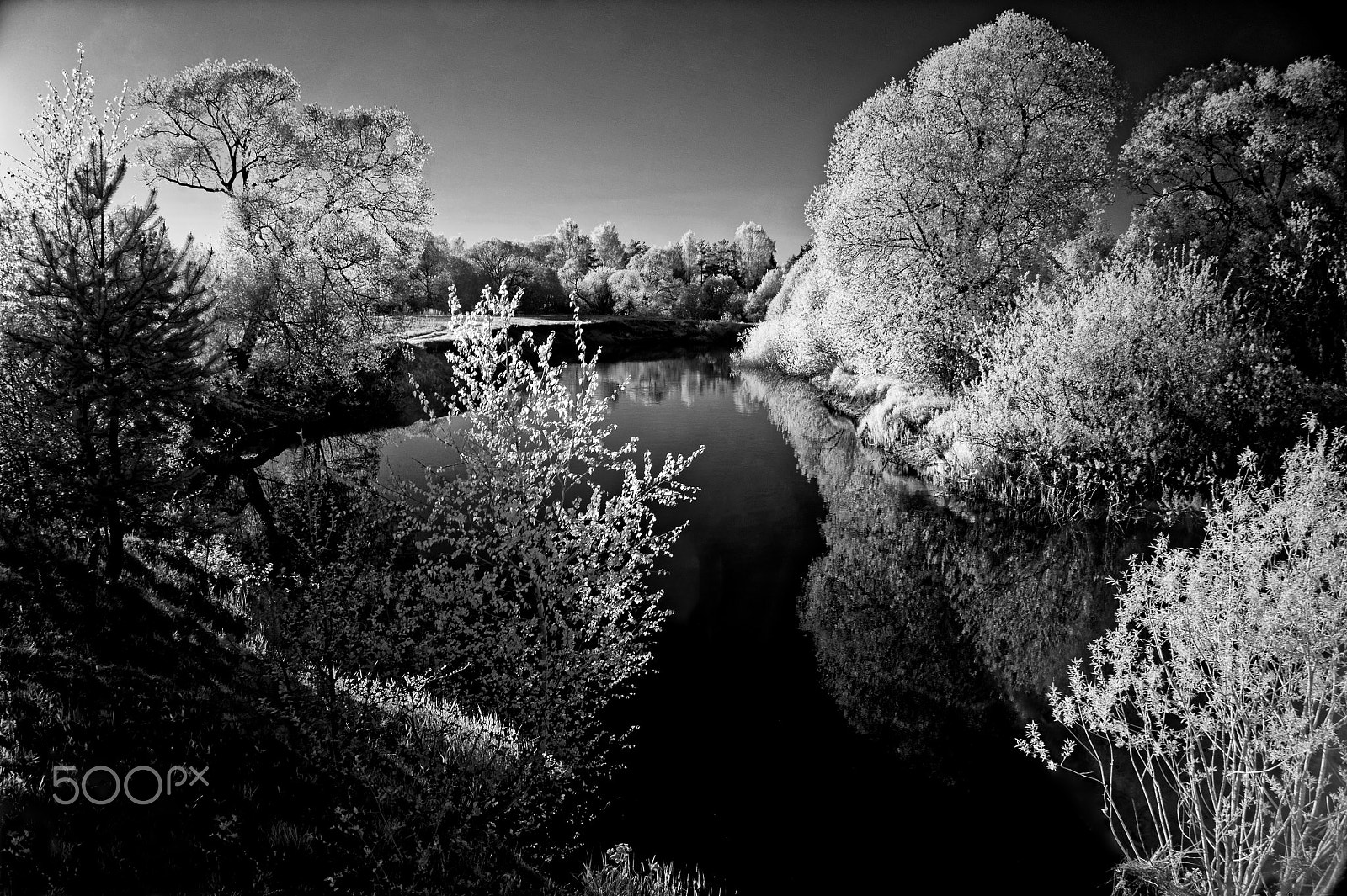 Sony Alpha NEX-3 sample photo. Infrared spring photography