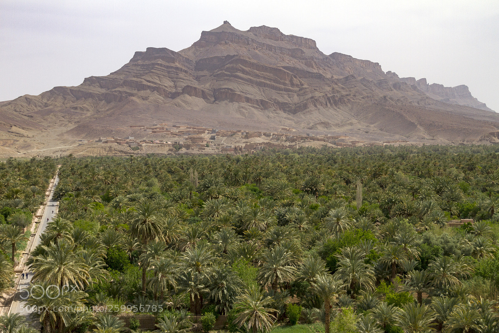 Canon EOS 7D sample photo. 2018-4102.jpg photography