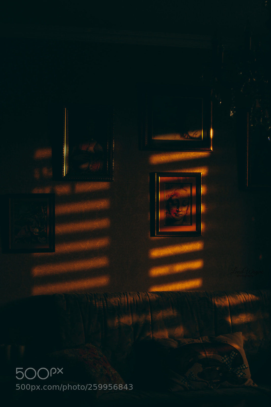 Canon EOS 7D Mark II sample photo. Sunset in the room photography
