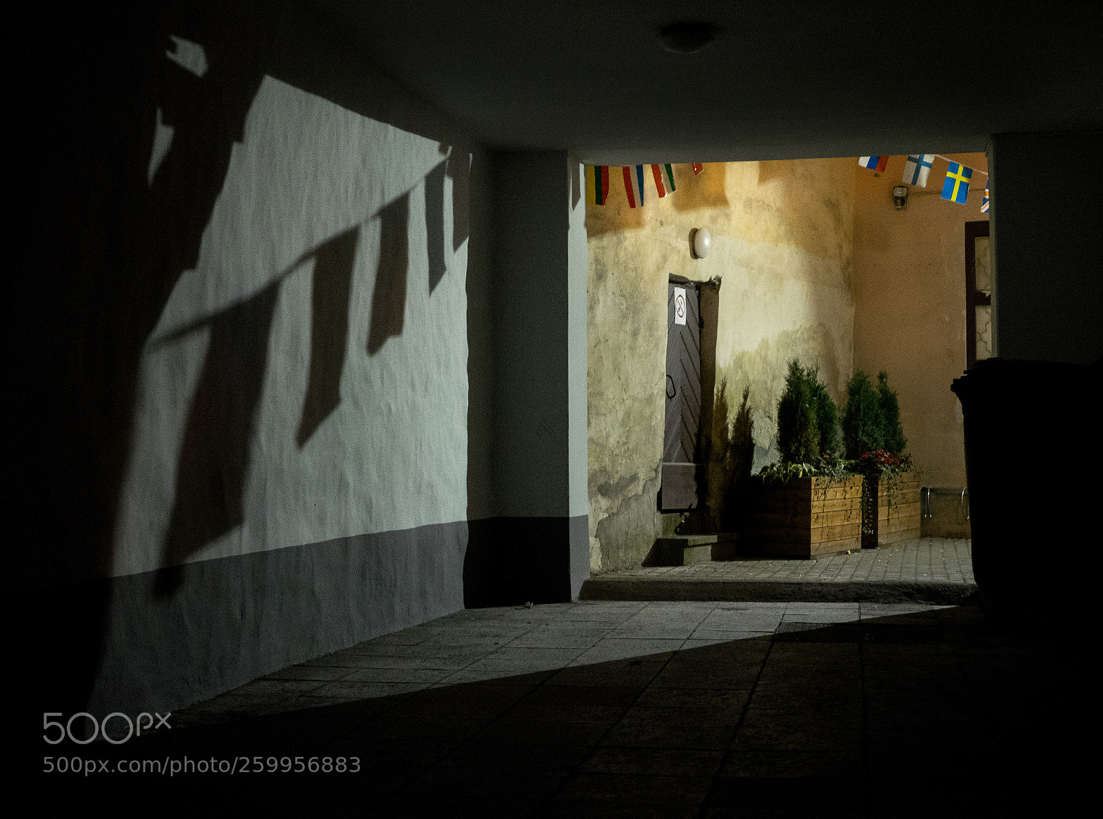 Olympus OM-D E-M1 sample photo. Shadows on the wall photography