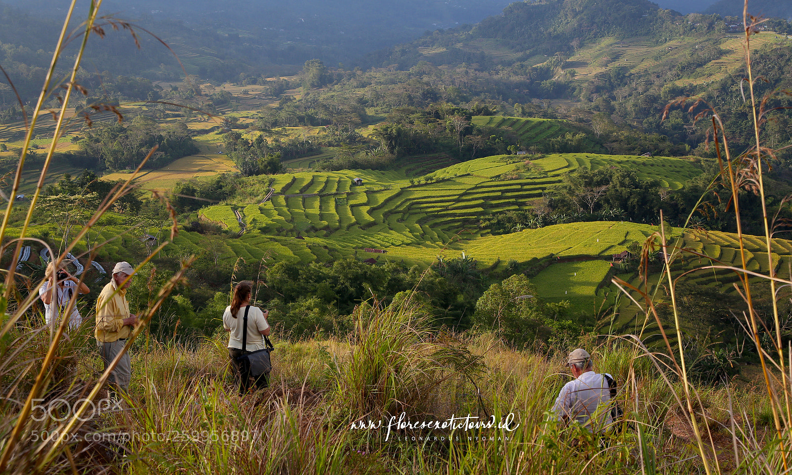 Canon EOS 6D sample photo. Landscape of ricefield near photography