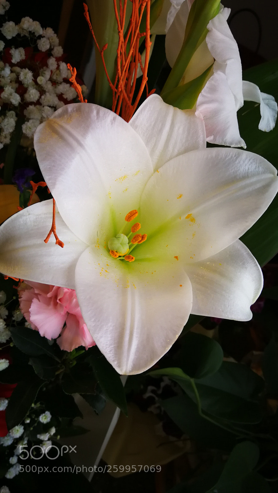 HUAWEI Mate 9 sample photo. Untitled photography