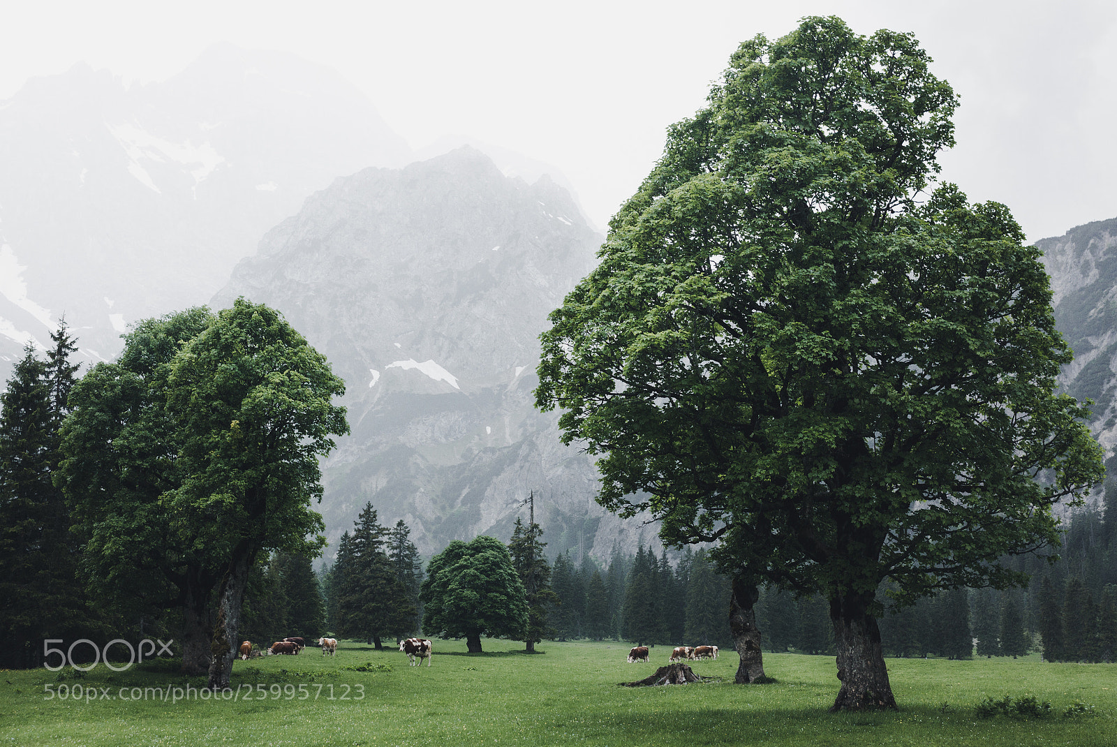 Canon EOS 60D sample photo. Karwendel photography