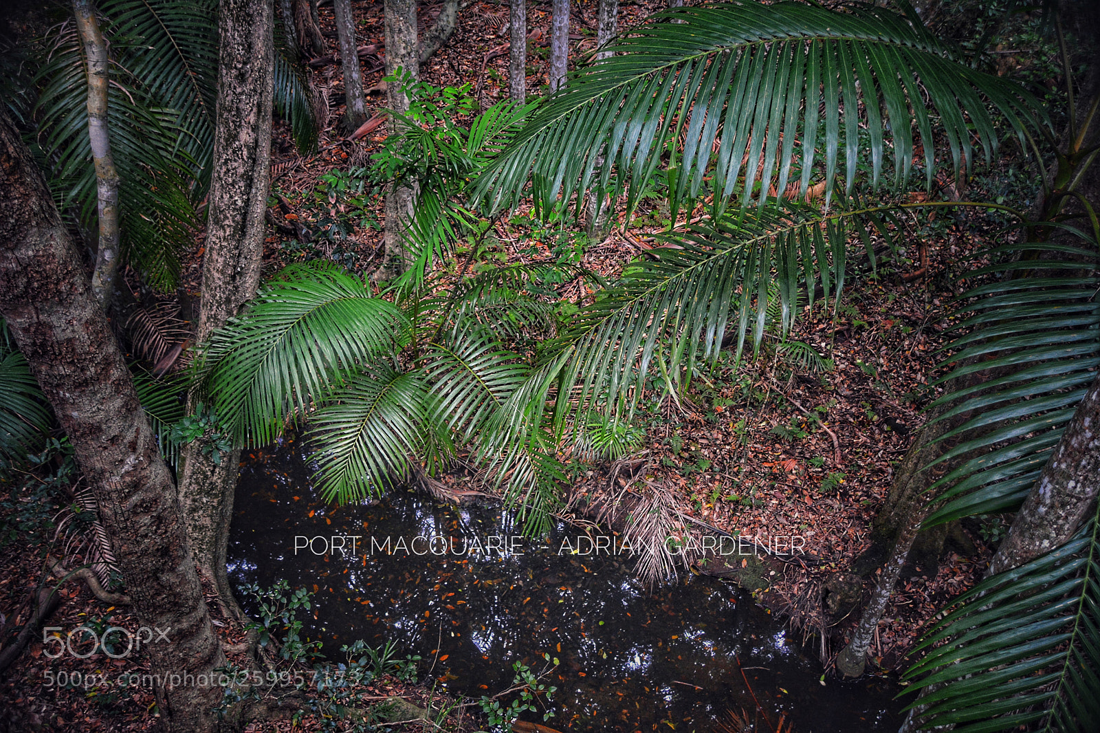 Nikon D7100 sample photo. Port macquarie photography