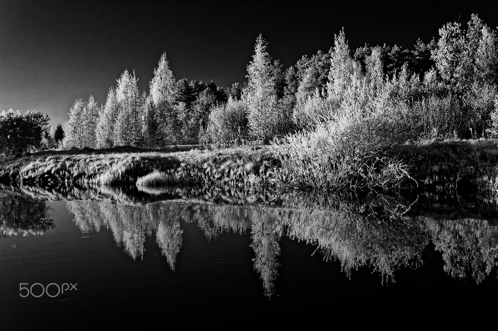 Sony Alpha NEX-3 sample photo. Infrared spring photography