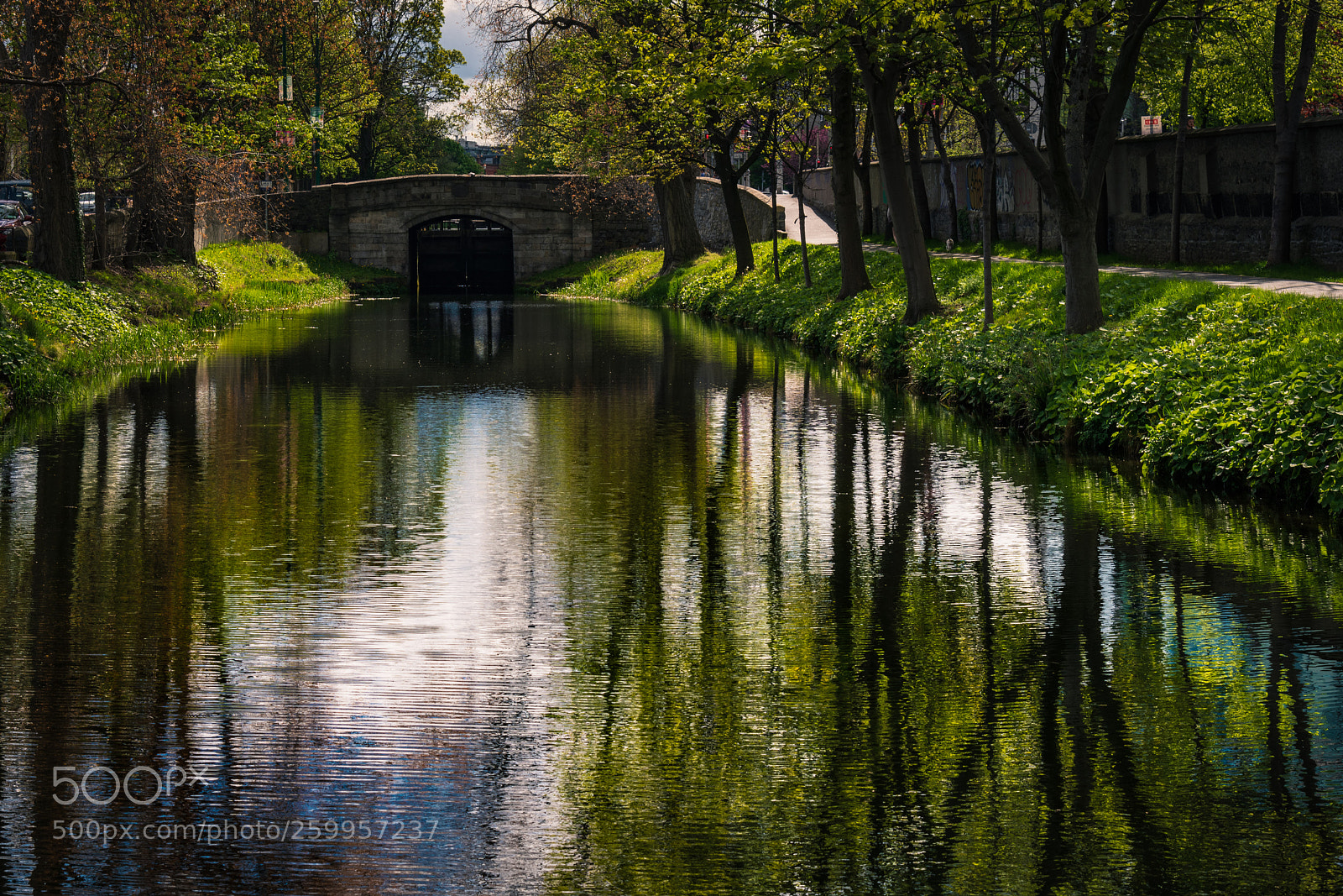 Nikon D850 sample photo. Oil painting v. reflection? photography