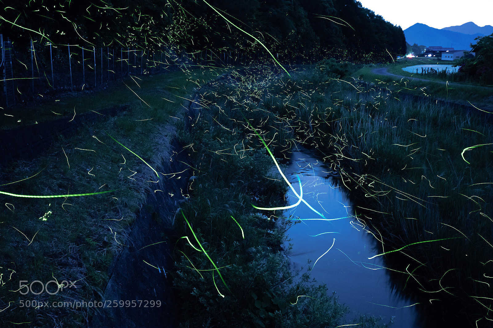 Canon EOS 6D sample photo. The light of a photography