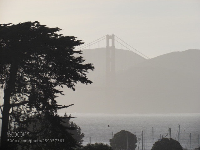 Canon PowerShot SX30 IS sample photo. Untitled photography