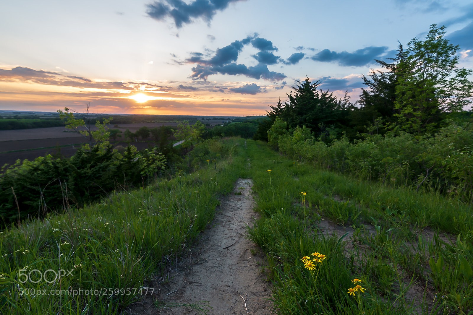 Nikon D750 sample photo. More loess hills beauty photography